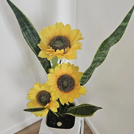 度假居 Sunflower Castle View In 奥比多斯