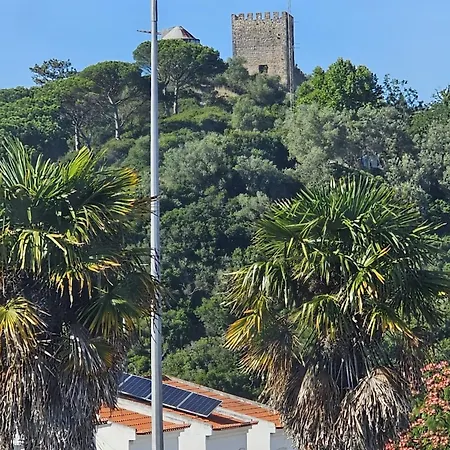 Sunflower Castle View In Holiday home Obidos