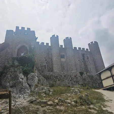 Sunflower Castle View In * Obidos