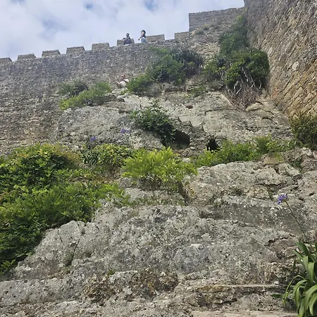 Sunflower Castle View In *