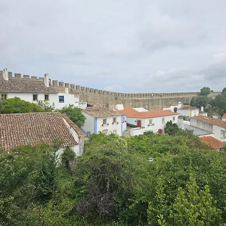 Sunflower Castle View In