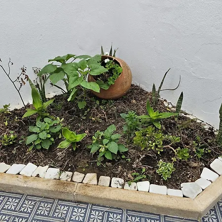 Sunflower Castle View In Dom wakacyjny