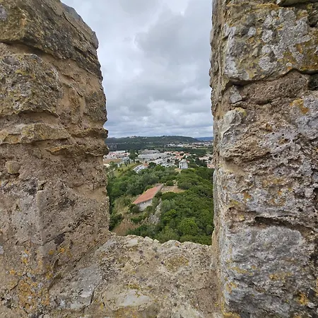 Sunflower Castle View In