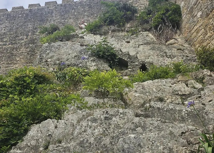 Sunflower Castle View In *