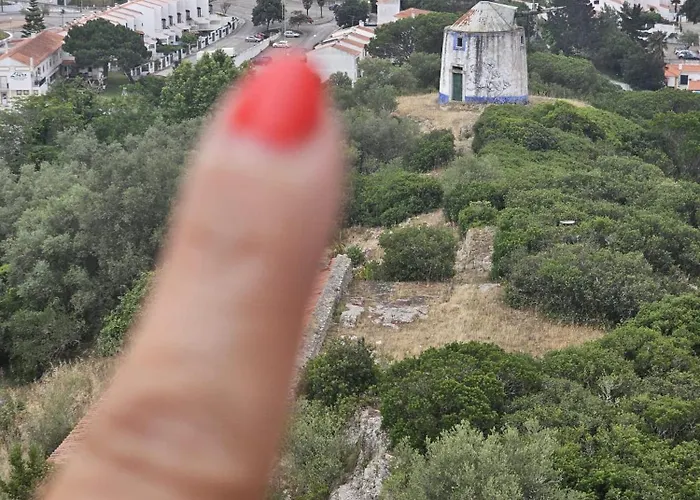 Sunflower Castle View In 別荘
