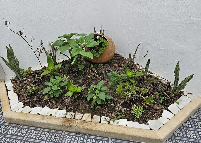 Sunflower Castle View In 別荘