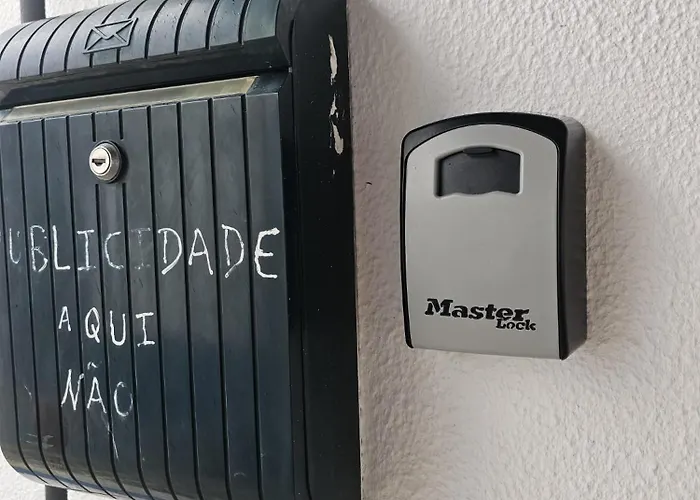 Sunflower Castle View In *