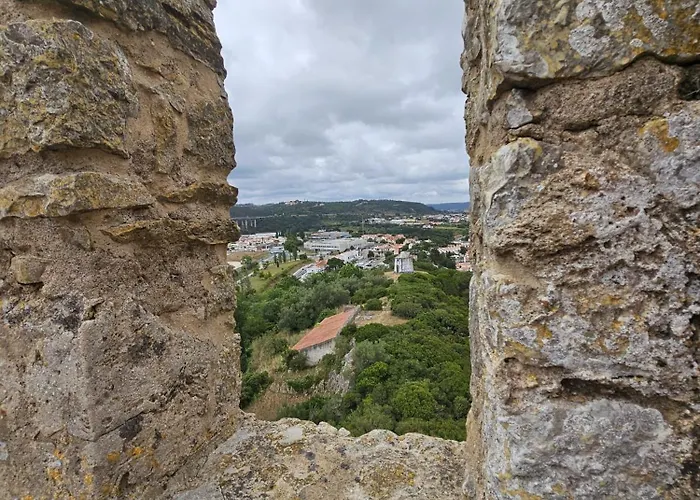 Sunflower Castle View In